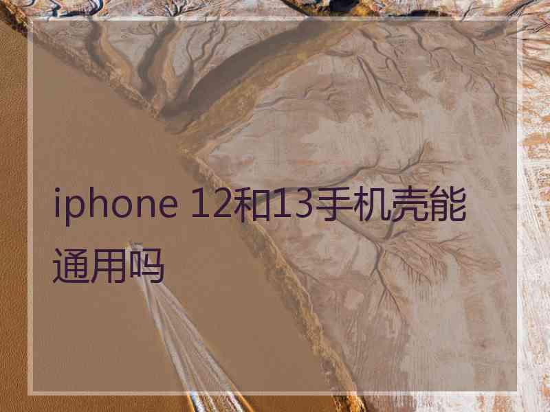 iphone 12和13手机壳能通用吗