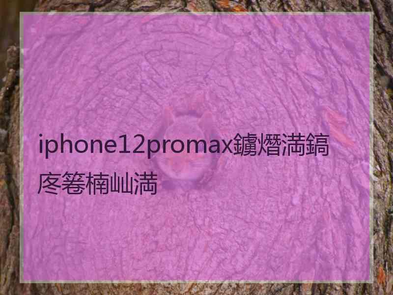 iphone12promax鐪熸満鎬庝箞楠屾満