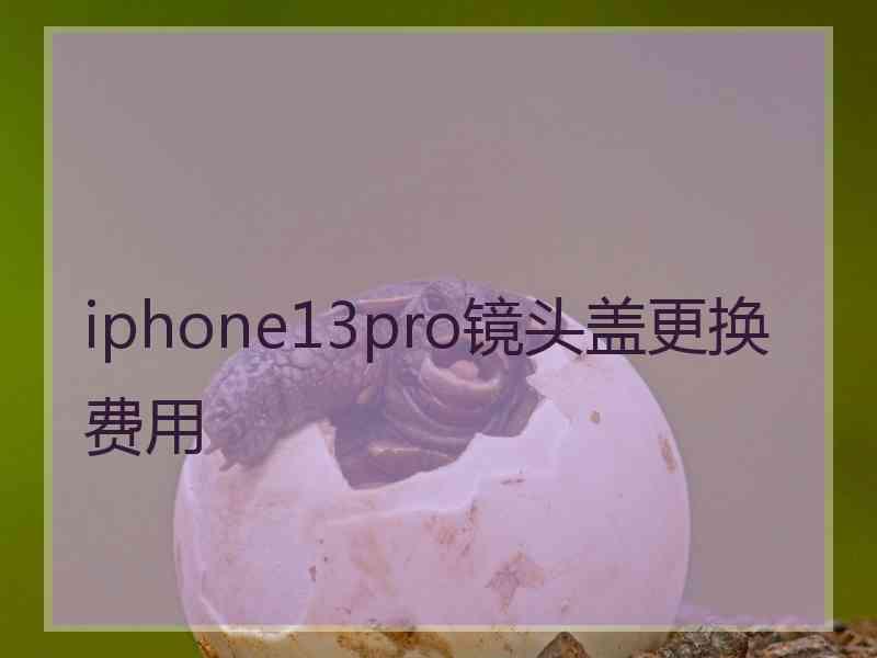 iphone13pro镜头盖更换费用