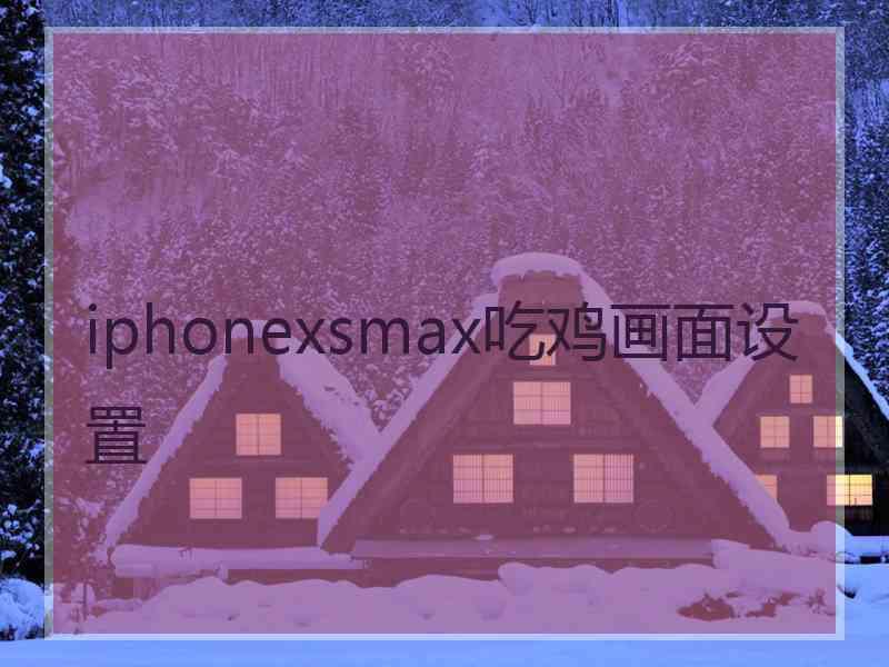 iphonexsmax吃鸡画面设置