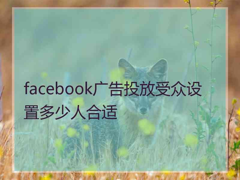 facebook广告投放受众设置多少人合适