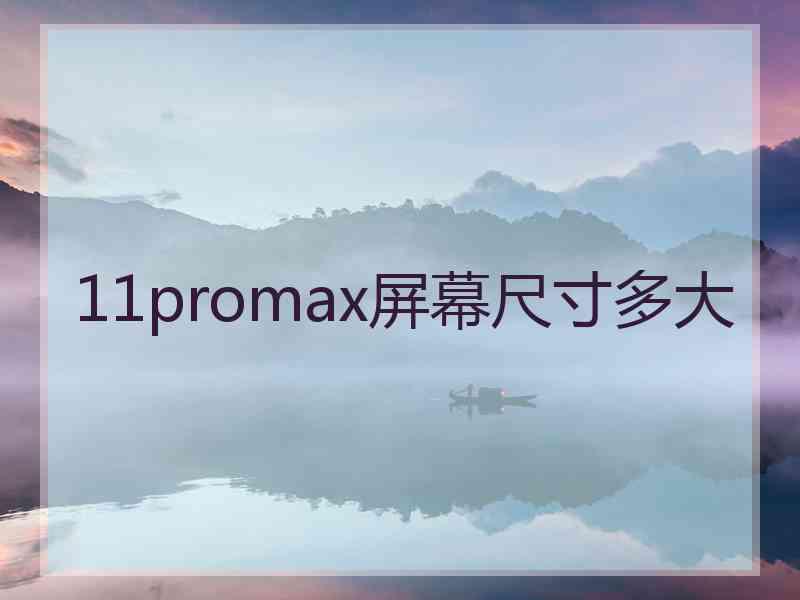 11promax屏幕尺寸多大