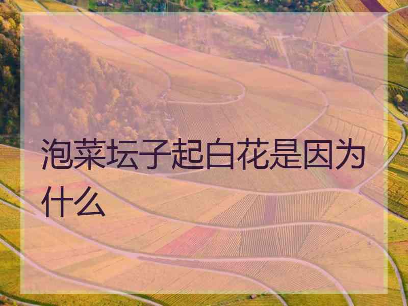 泡菜坛子起白花是因为什么