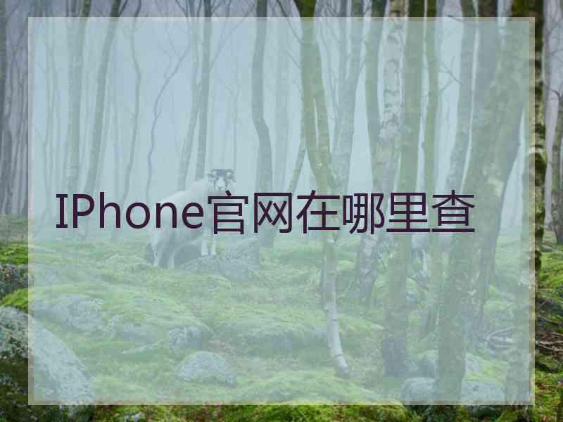 IPhone官网在哪里查