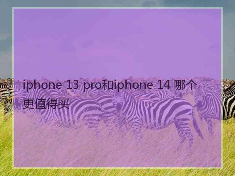 iphone 13 pro和iphone 14 哪个更值得买