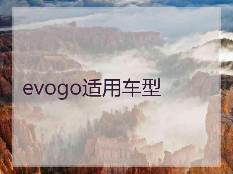 evogo适用车型