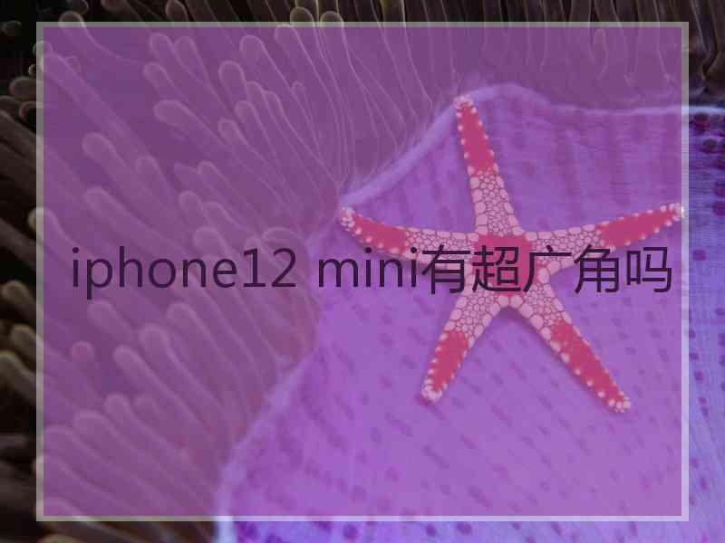 iphone12 mini有超广角吗