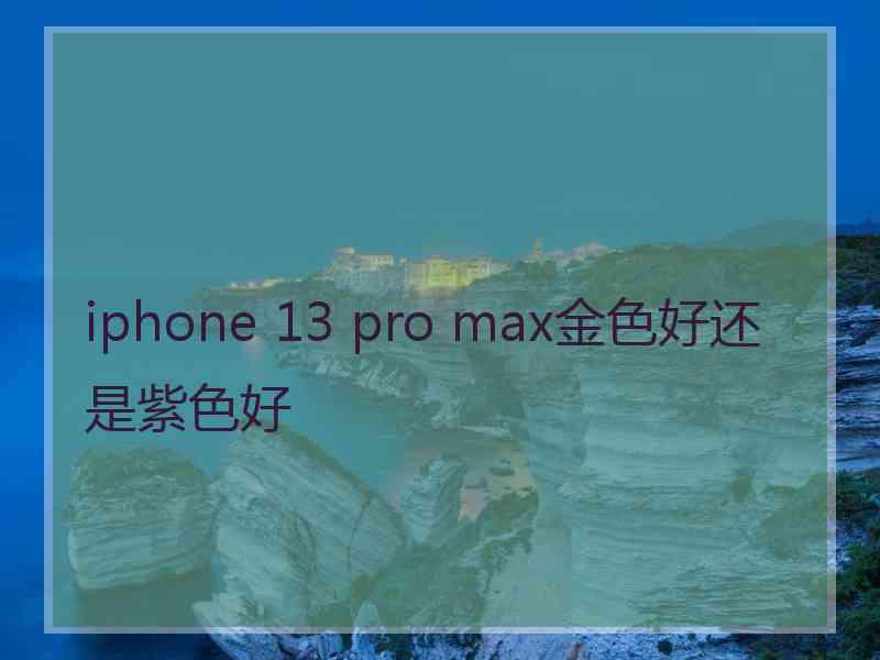 iphone 13 pro max金色好还是紫色好