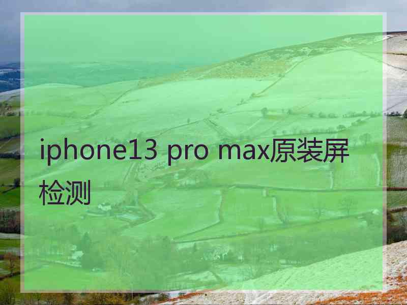 iphone13 pro max原装屏检测