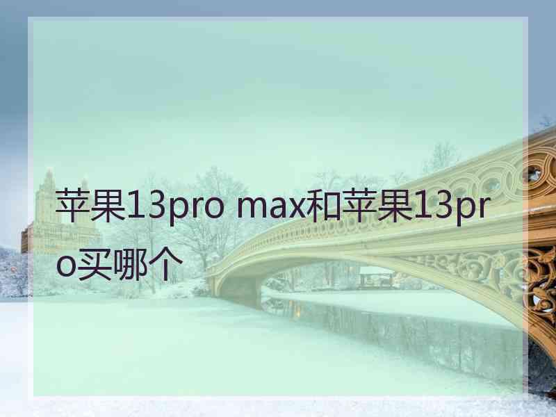 苹果13pro max和苹果13pro买哪个