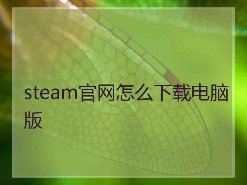 steam官网怎么下载电脑版