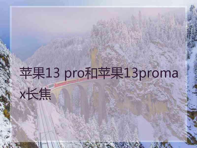 苹果13 pro和苹果13promax长焦