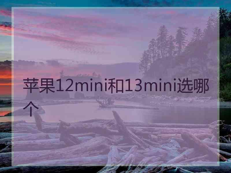 苹果12mini和13mini选哪个