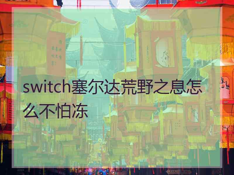 switch塞尔达荒野之息怎么不怕冻