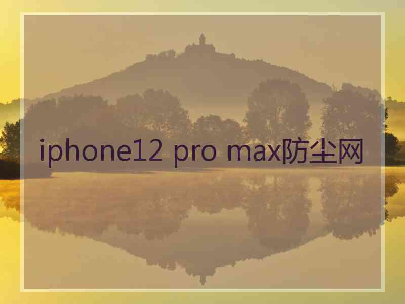 iphone12 pro max防尘网