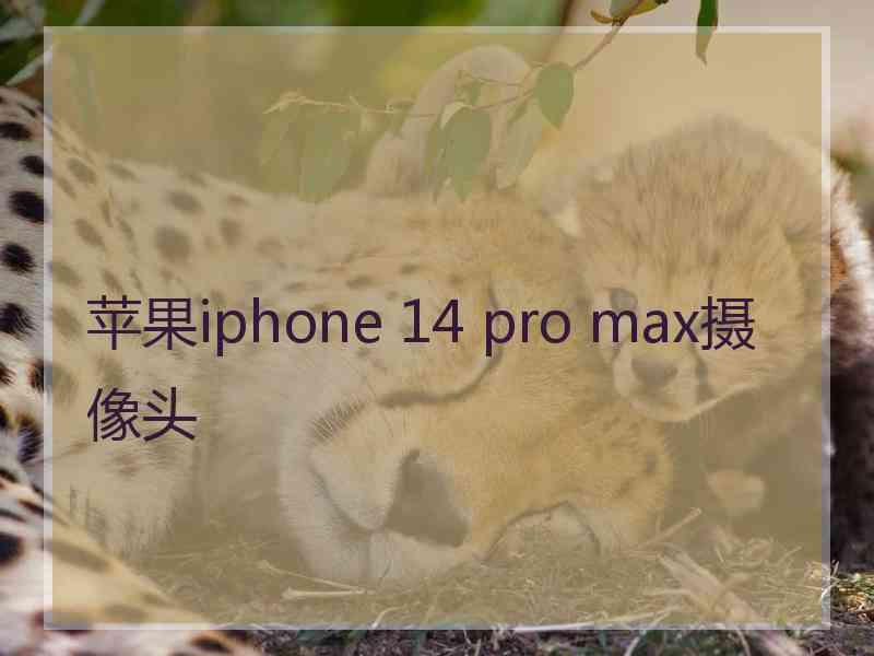 苹果iphone 14 pro max摄像头