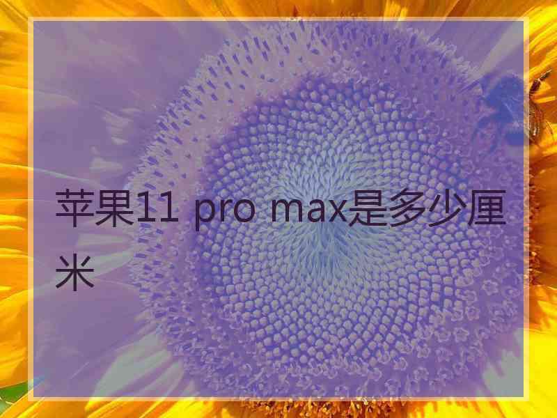 苹果11 pro max是多少厘米