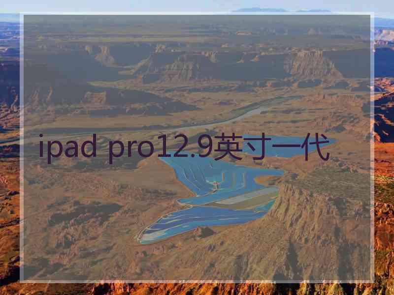 ipad pro12.9英寸一代