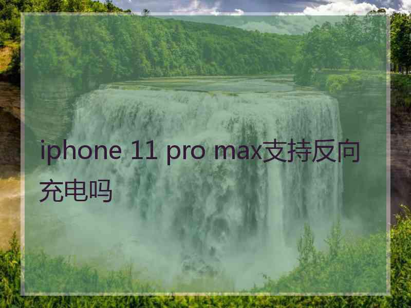 iphone 11 pro max支持反向充电吗