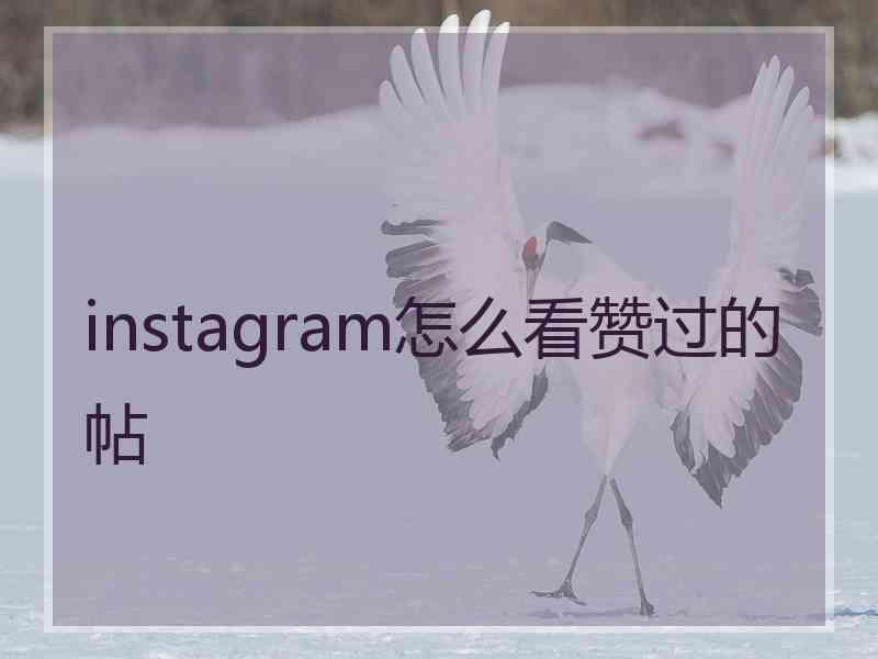 instagram怎么看赞过的帖