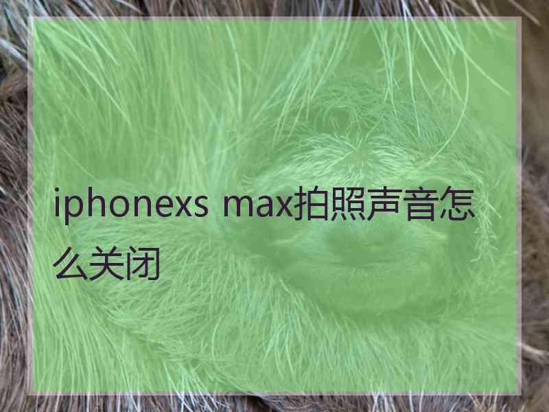 iphonexs max拍照声音怎么关闭