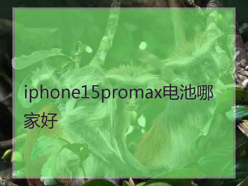 iphone15promax电池哪家好