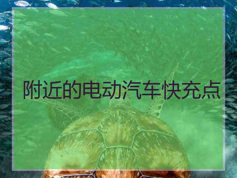 附近的电动汽车快充点