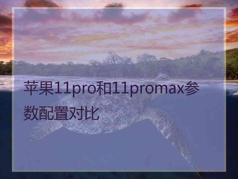 苹果11pro和11promax参数配置对比