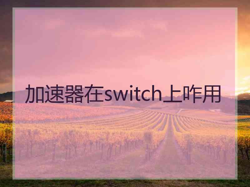 加速器在switch上咋用