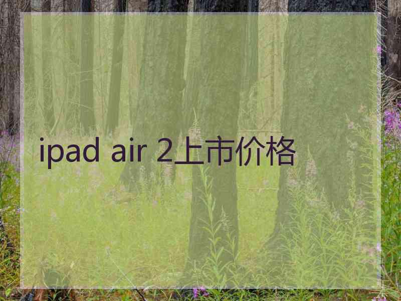 ipad air 2上市价格