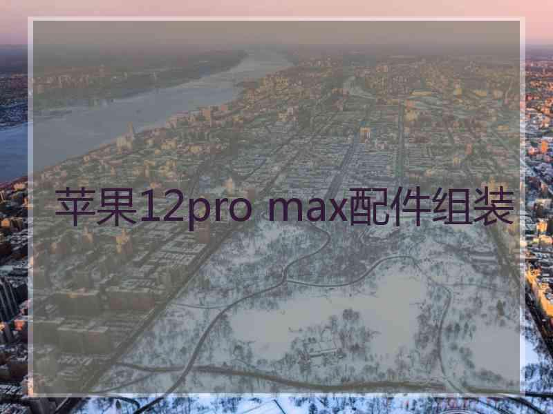 苹果12pro max配件组装