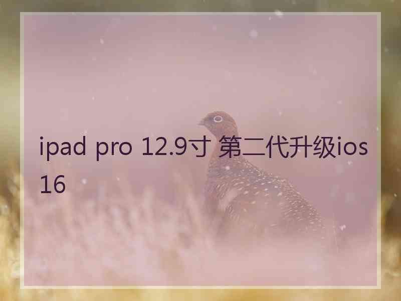 ipad pro 12.9寸 第二代升级ios16