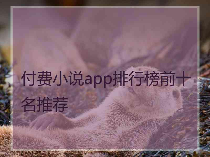 付费小说app排行榜前十名推荐