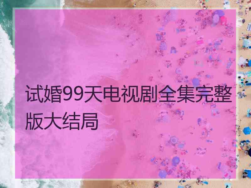 试婚99天电视剧全集完整版大结局