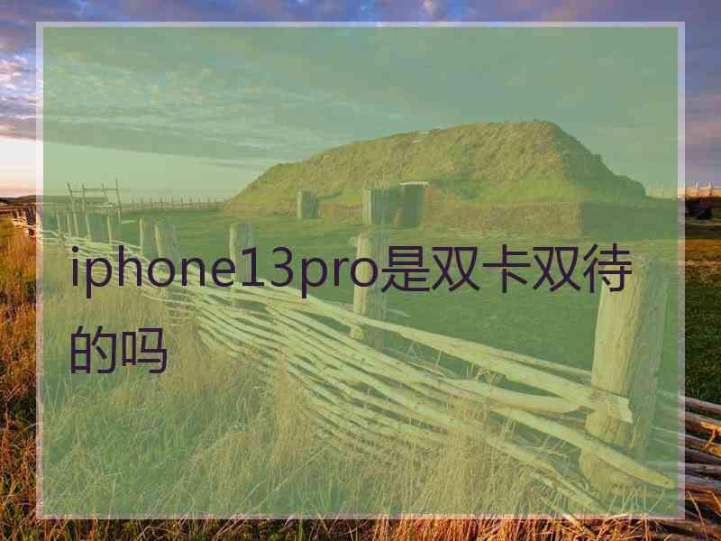 iphone13pro是双卡双待的吗