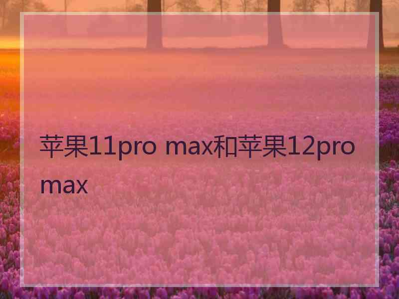 苹果11pro max和苹果12pro max