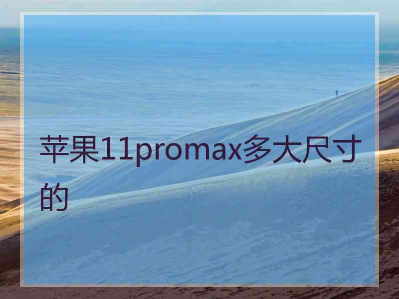 苹果11promax多大尺寸的