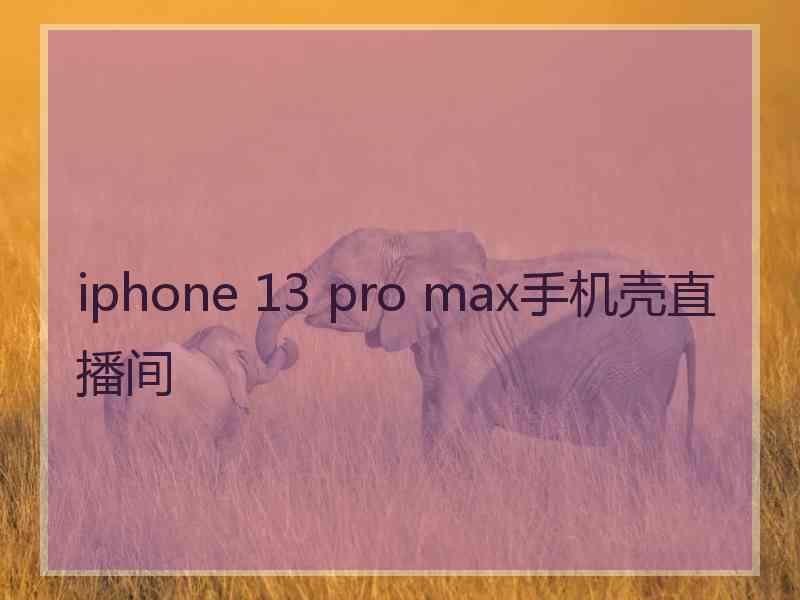 iphone 13 pro max手机壳直播间