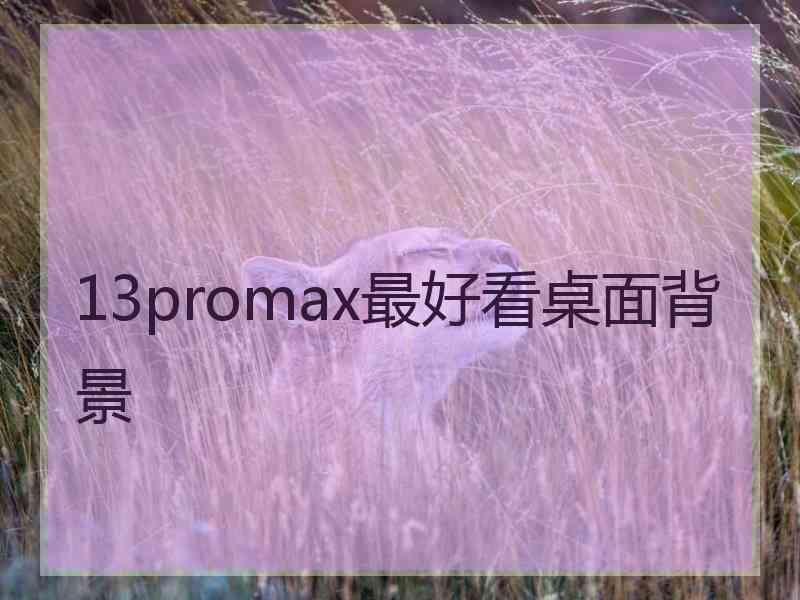 13promax最好看桌面背景