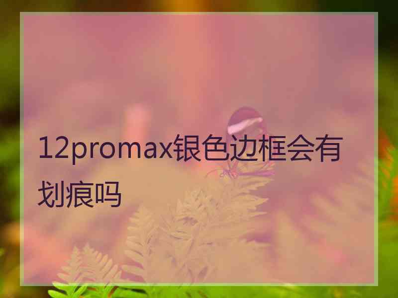 12promax银色边框会有划痕吗