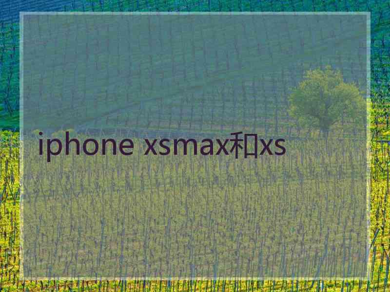 iphone xsmax和xs