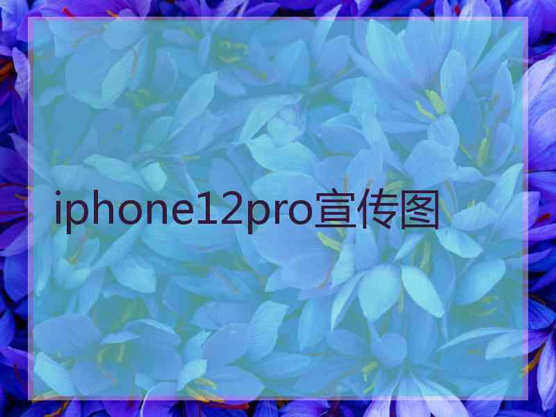 iphone12pro宣传图