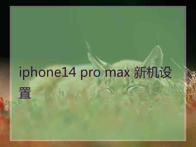 iphone14 pro max 新机设置