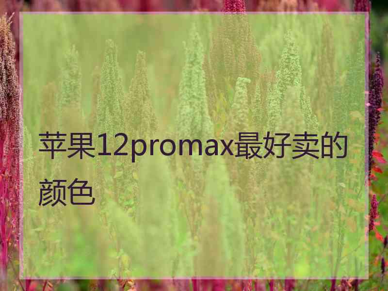 苹果12promax最好卖的颜色