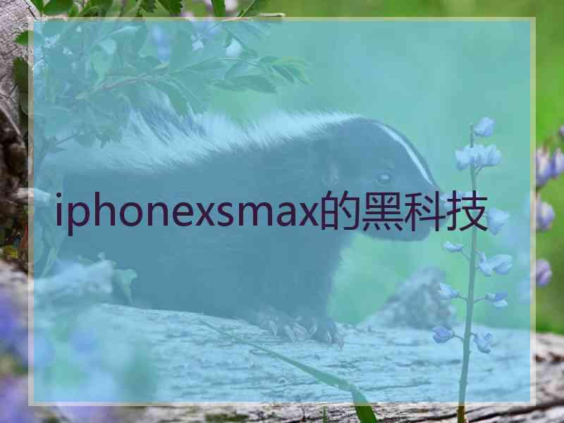 iphonexsmax的黑科技