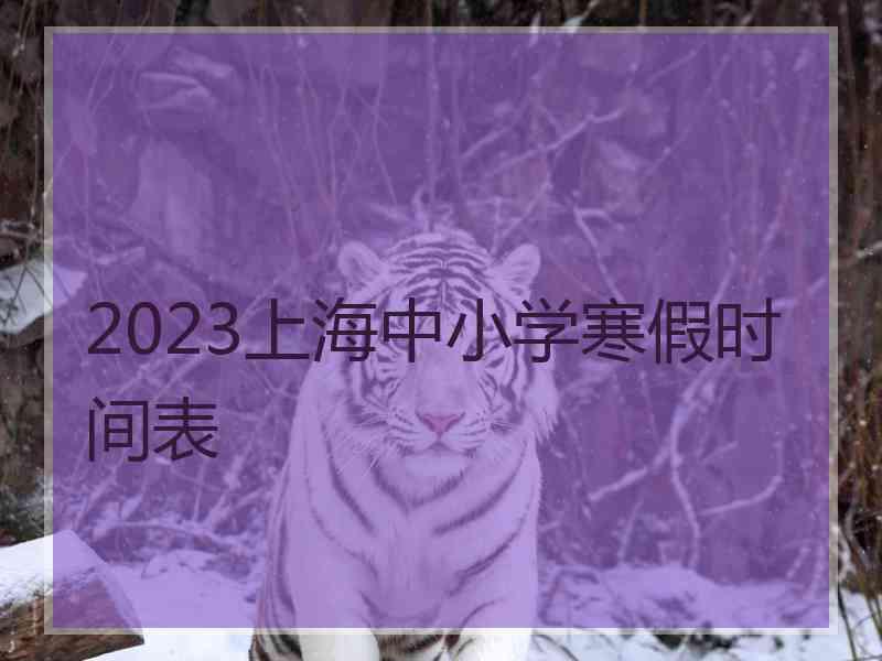 2023上海中小学寒假时间表