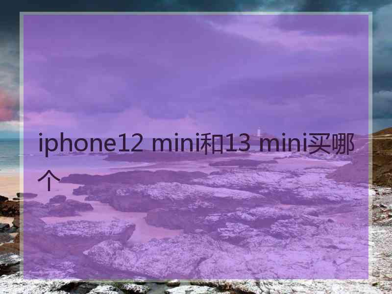 iphone12 mini和13 mini买哪个