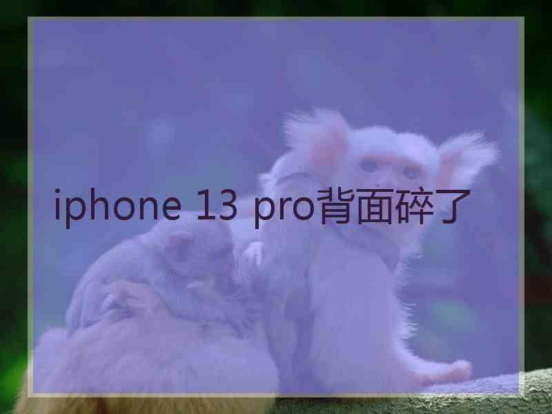 iphone 13 pro背面碎了