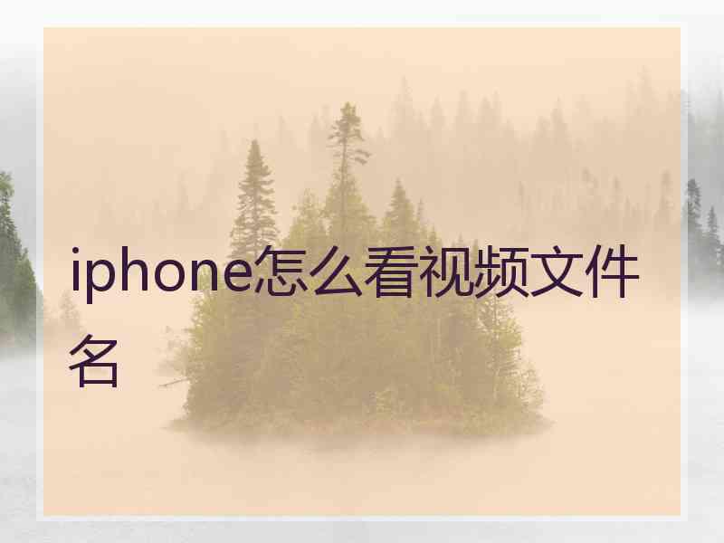 iphone怎么看视频文件名