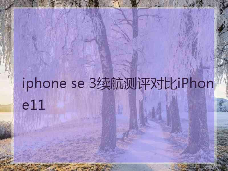 iphone se 3续航测评对比iPhone11